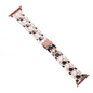 Correa de Resina Transparente Plateado para Apple Watch